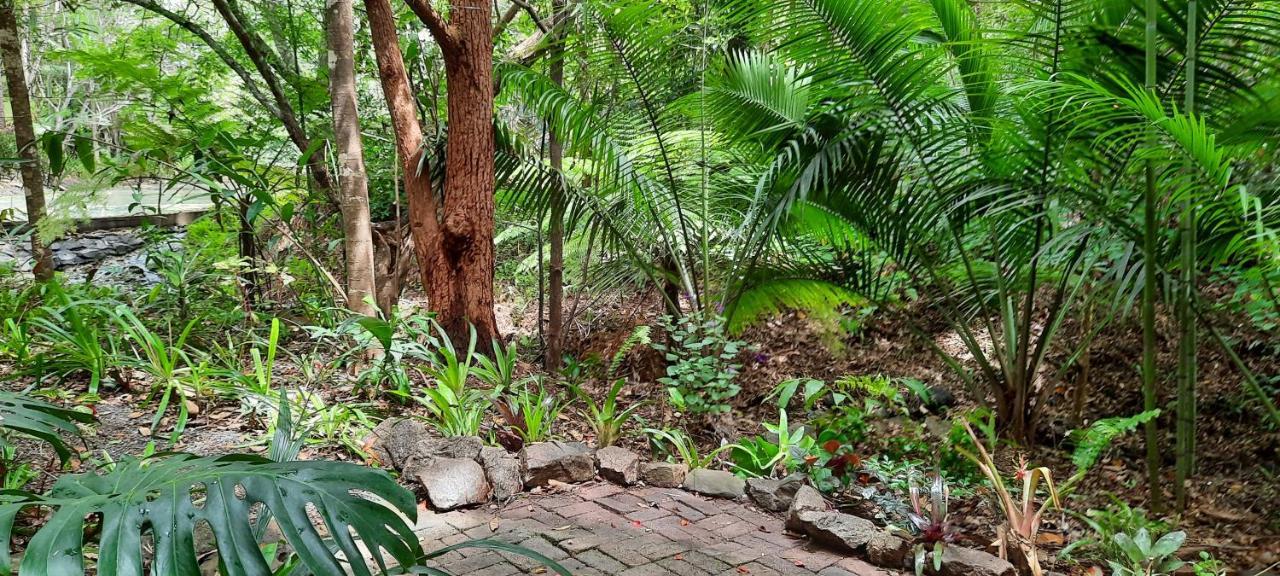 Treetops مونتفيل المظهر الخارجي الصورة
