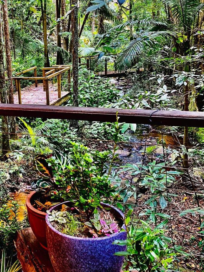 Treetops مونتفيل المظهر الخارجي الصورة