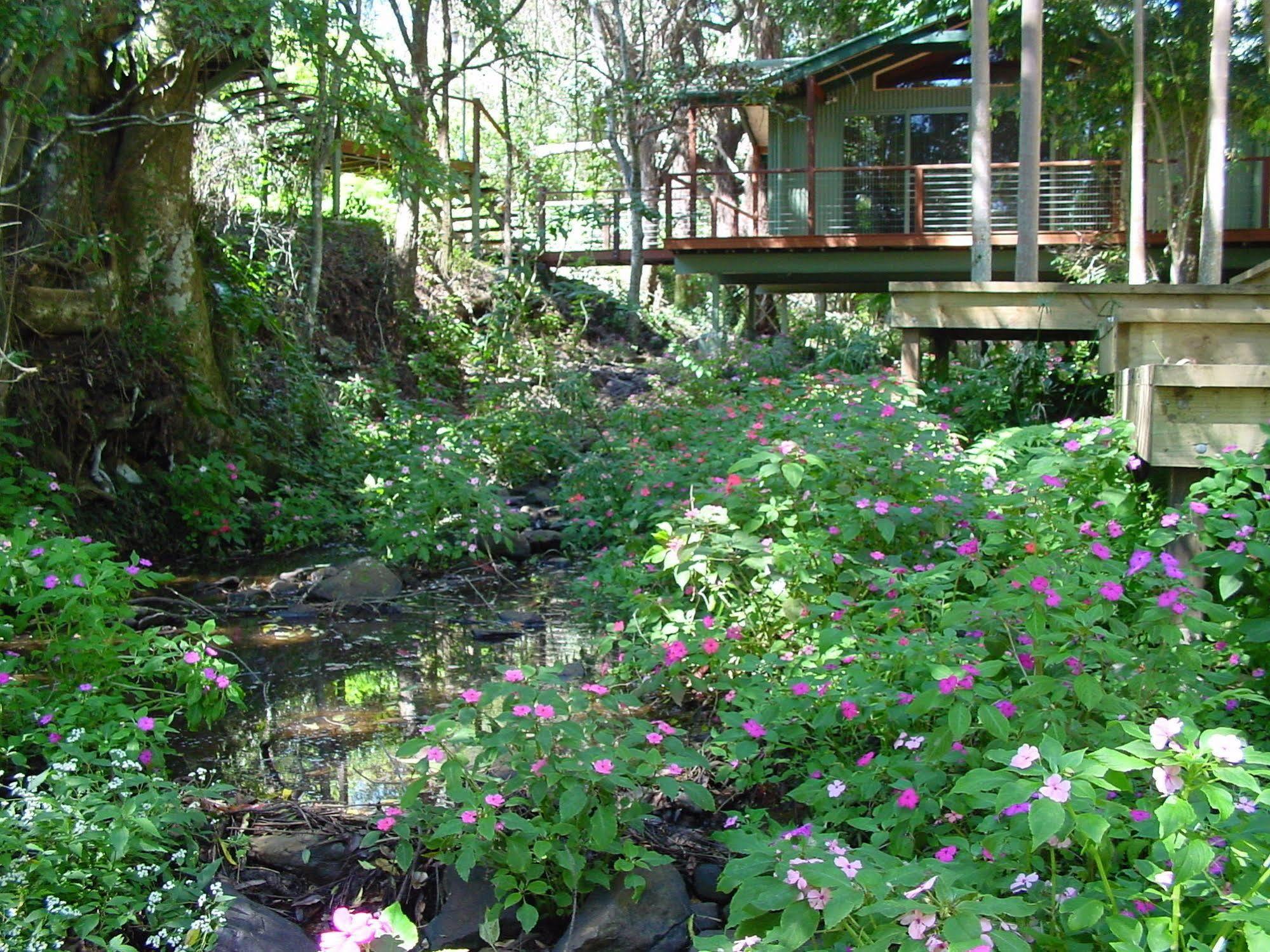 Treetops مونتفيل المظهر الخارجي الصورة