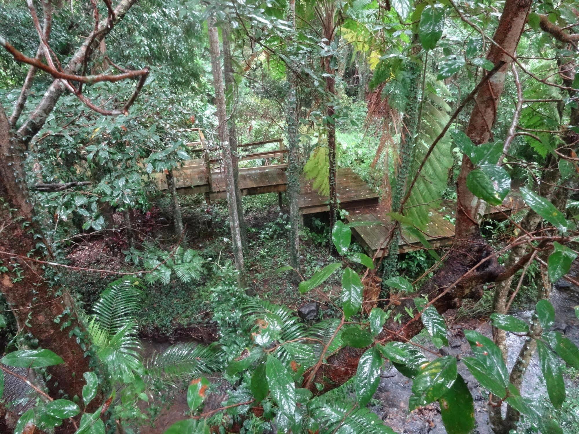 Treetops مونتفيل المظهر الخارجي الصورة