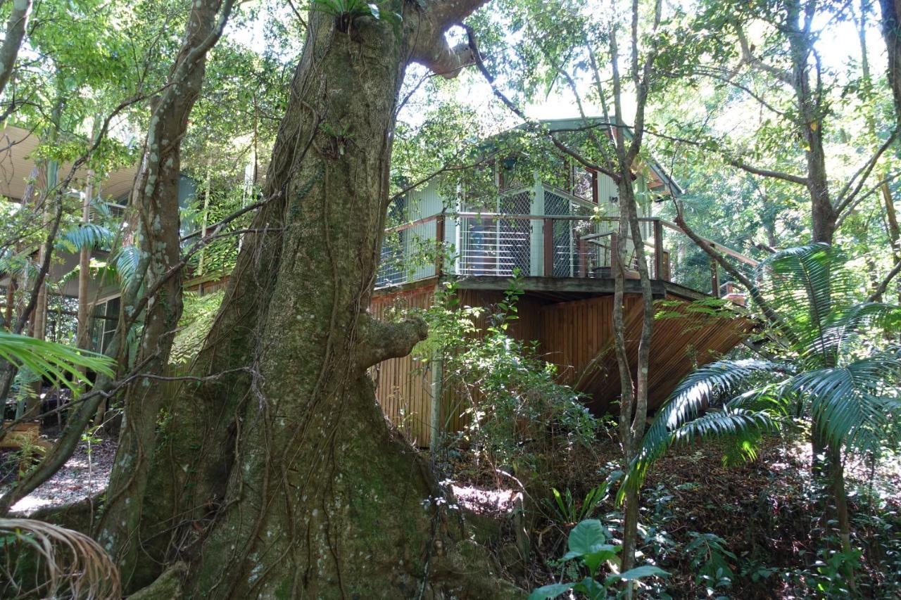 Treetops مونتفيل المظهر الخارجي الصورة